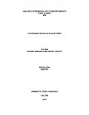 ANALISIS EXPERIMENTAL DEL COMPORTAMIENTO CASO CLINICO