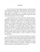 Uno de los motivos de la presente elaboración es lograr un acercamiento teórico a los conceptos de alucinación y delirio