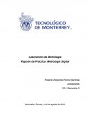 Metrología Digital Práctica de Laboratorio.