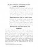 NEGLIGENCIA: IMPRUDENCIA E IRRESPONSABILIDAD MEDICA