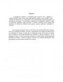 INTELIGENCIA CULTURAL.