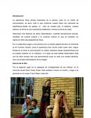 Analizar una fotografía