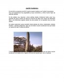 Jardín botánico - Reseña