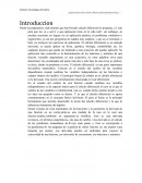 Aplicaciones del calculo diferencial.