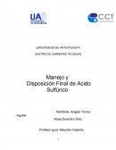 INFORME SUSTANCIAS QUÍMICAS LIXIVIACION