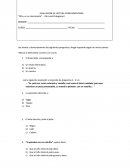 Evaluación de Lectura Complementaria : Otto el rinoceronte.