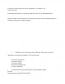 FUNDAMENTOS PARA EL EQUIPO DE PROYECTO DE ALTO RENDIMINENTO