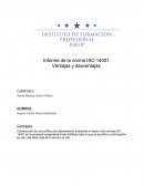 Informe de la norma ISO 14001 Ventajas y desventajas