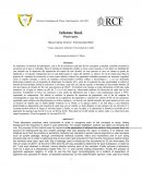 Informe final. Final report.