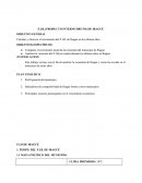 Calcular y observar el crecimiento del P.I.B. de Ibagué en los últimos años