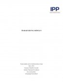 Antropología Sociocultural.