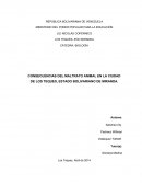 CONSECUENCIAS DEL MALTRATO ANIMAL EN LA CIUDAD DE LOS TEQUES, ESTADO BOLIVARIANO DE MIRANDA.