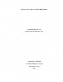 PROTOCOLO DE LIMPIZA Y DESINFECCIÓN DE AREAS.