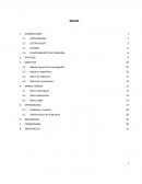 TIC´S, internet etc