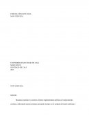 CERVEZA INSTANTANEA NOW CERVEZA