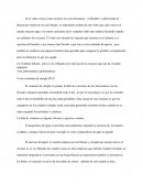 Ensayo sobre Video Medio Ambiental