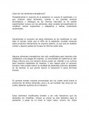 ¿Qué son los alimentos transgénicos?