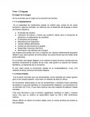 Guia Final De Lexicologia