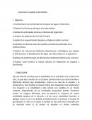 BIOFISICA,SEMINARIO SOLUCIONES