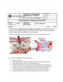 GESTION DEL CONOCIMIENTO APRENDIZAJE Y DOCENCIA