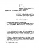 DEMANDA FILIACION JUDICIAL