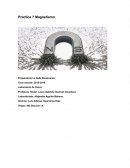 Lo que vamos a estudiar en la práctica es el magnetismo, fuerza magnética, materiales ferromagnético etc..