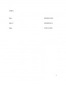 Literatura, Evidencia (Hans Christian Andersen)