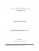 INTRODUCCIÓN A LA INVESTIGACIÓN TECNICAS DE NEUROIMAGEN, NEUROCIRUGIA Y LESIONES CEREBRALES
