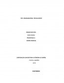 Tipo de organizacion prealeciente