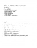 Definir las etapas del ciclo de vida de software y descripción de las mismas.
