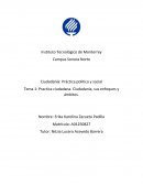 Practica ciudadana. Ciudadanía, sus enfoques y ámbitos.