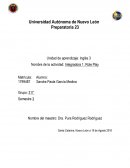 Actividad: Integradora 1: Role Play.