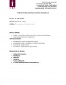 TRABAJO PRÁCTICO : PROGRAMA DE JÓVENES PROFESIONALES