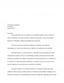 El problema Económico Economía