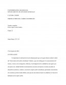 OBSERVATORIO DEL CARIBE COLOMBIANO.