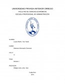 Sistemas de la información gerencial