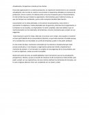 Actualización, Perspectiva e interés por los clientes