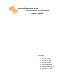 La aplicación de técnicas financieras- informantes de análisis bajo criterios- asesoramiento financiero.