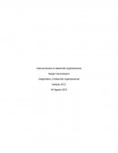 Intervenciones en Desarrollo Organizacional