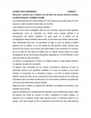 Las nuevas ciencias sociales ensayo