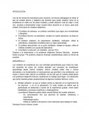 Uno de los temas de importancia para nosotros, los futuros pedagogos es saber el tipo de modelo teórico y didáctico del docente para poder analizar cómo es la enseñanza en cada uno de estos modelos y poder discernir cual es mejor o cual nos ayudara a 