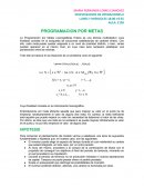 PROGRAMACION POR METAS