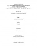 DISTRIBUIDOR DE CARNES