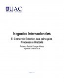 NEGOCIOS INTERNACIONALES El Comercio Exterior, sus principios