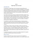 RULA Rapid Upper Limb Assessment