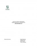 AUDITORÍA SIGO SEGUNDO S.A.