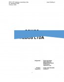 AUDITORÍA SOMOS ALBO LIMITADA