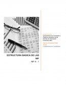 ESTRUCTURA BASICA DE LAS NORMAS DE INFORMACION FINANCIERA (NIF)