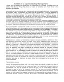 Gestión de la seguridad(Safety Management)