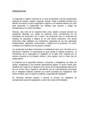 Seguridad industrial e higiene en el trabajo